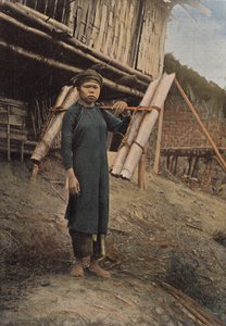 水キャリア 作： European Photographer